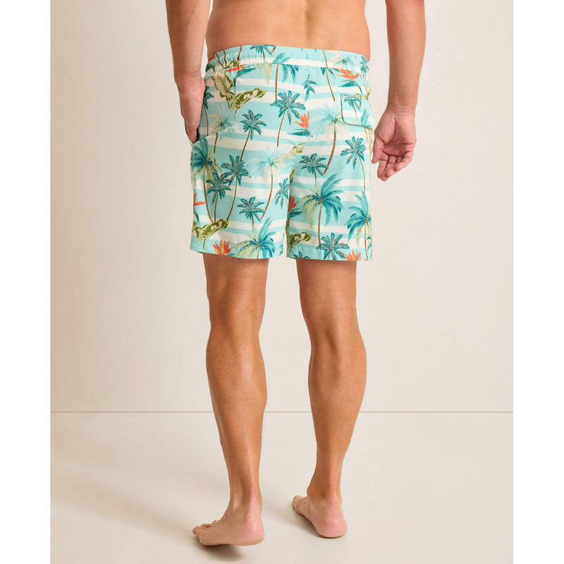 Tommy Bahama Men's 6-Inch Naples Palmero Stripe Swim Trunks - Spring Sky