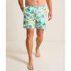 Tommy Bahama Men's 6-Inch Naples Palmero Stripe Swim Trunks - Spring Sky